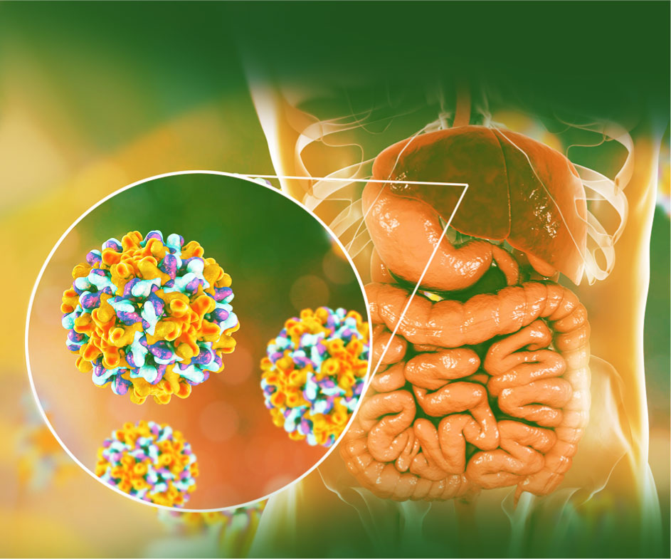 Gepatit В ning oldini olishda nimalar muhim?