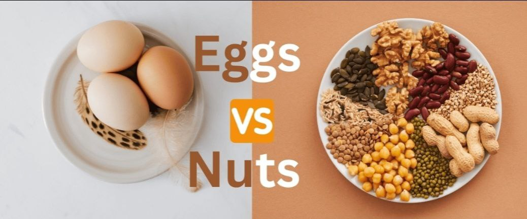 Mutaxassis tavsiyasi: Oqsilga boy mahsulotlarni iste’moli